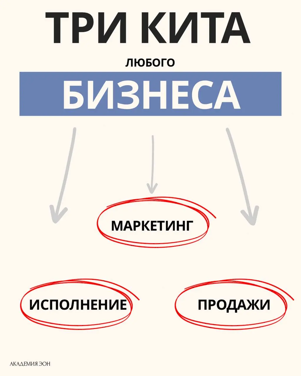 Без этой базы бизнес не вырастет. Точка | Сетка — социальная сеть от hh.ru