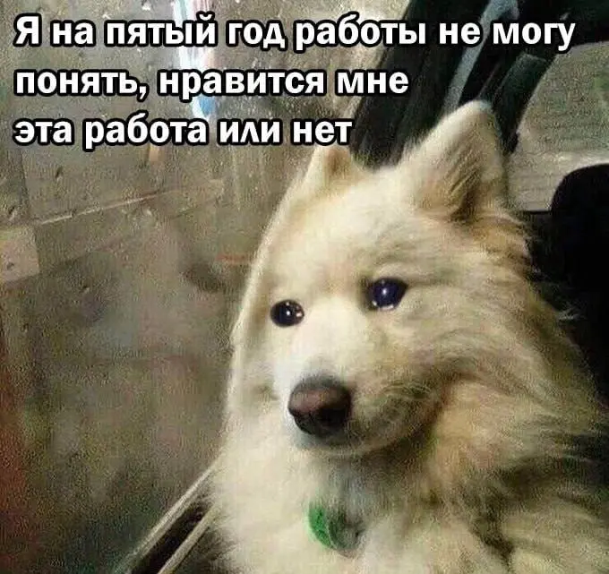 Минутка рефлексии
Не люблю рефлексировать, потому что это всегда вгоняет меня в тоску😔 Но мем прям метчится со мной | Сетка — социальная сеть от hh.ru