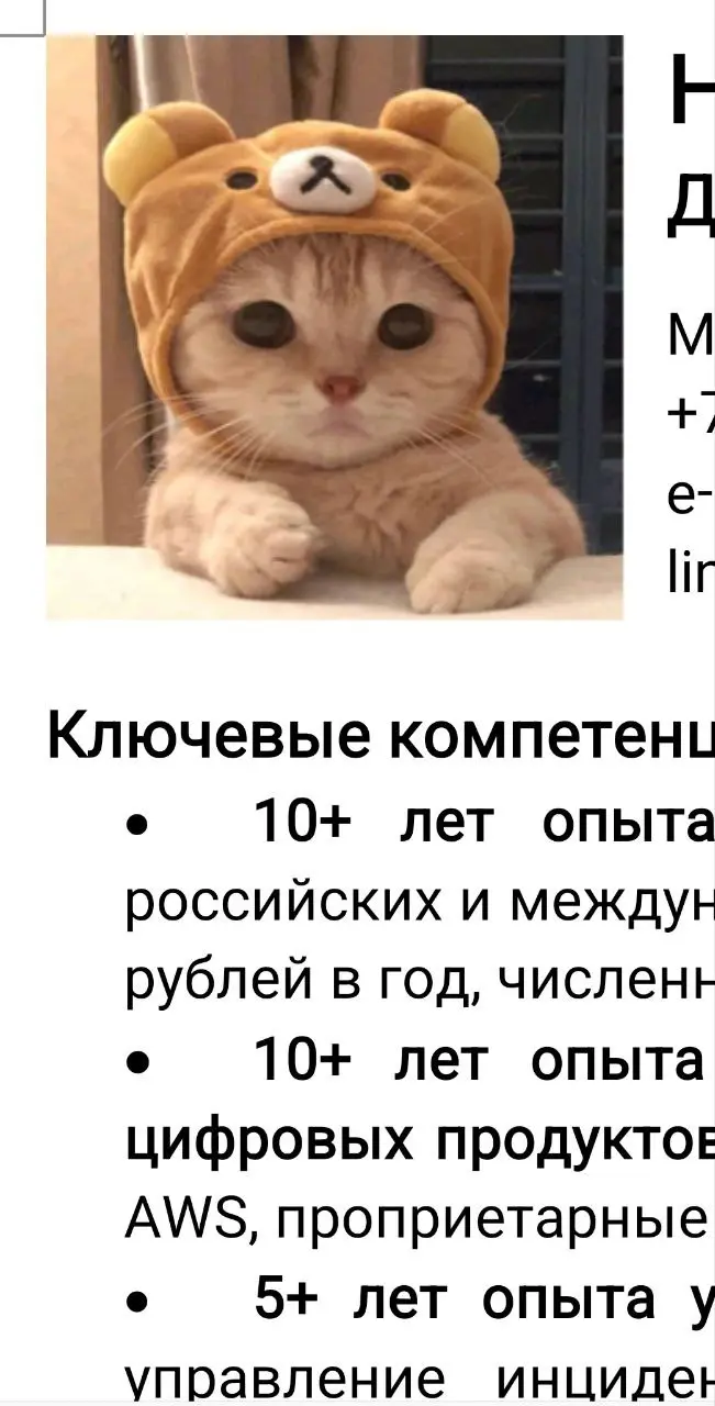 Любимый клиент до фотосессии пока поставил в резюме котика, сам выбрал 😁
#практикаКК | Сетка — социальная сеть от hh.ru