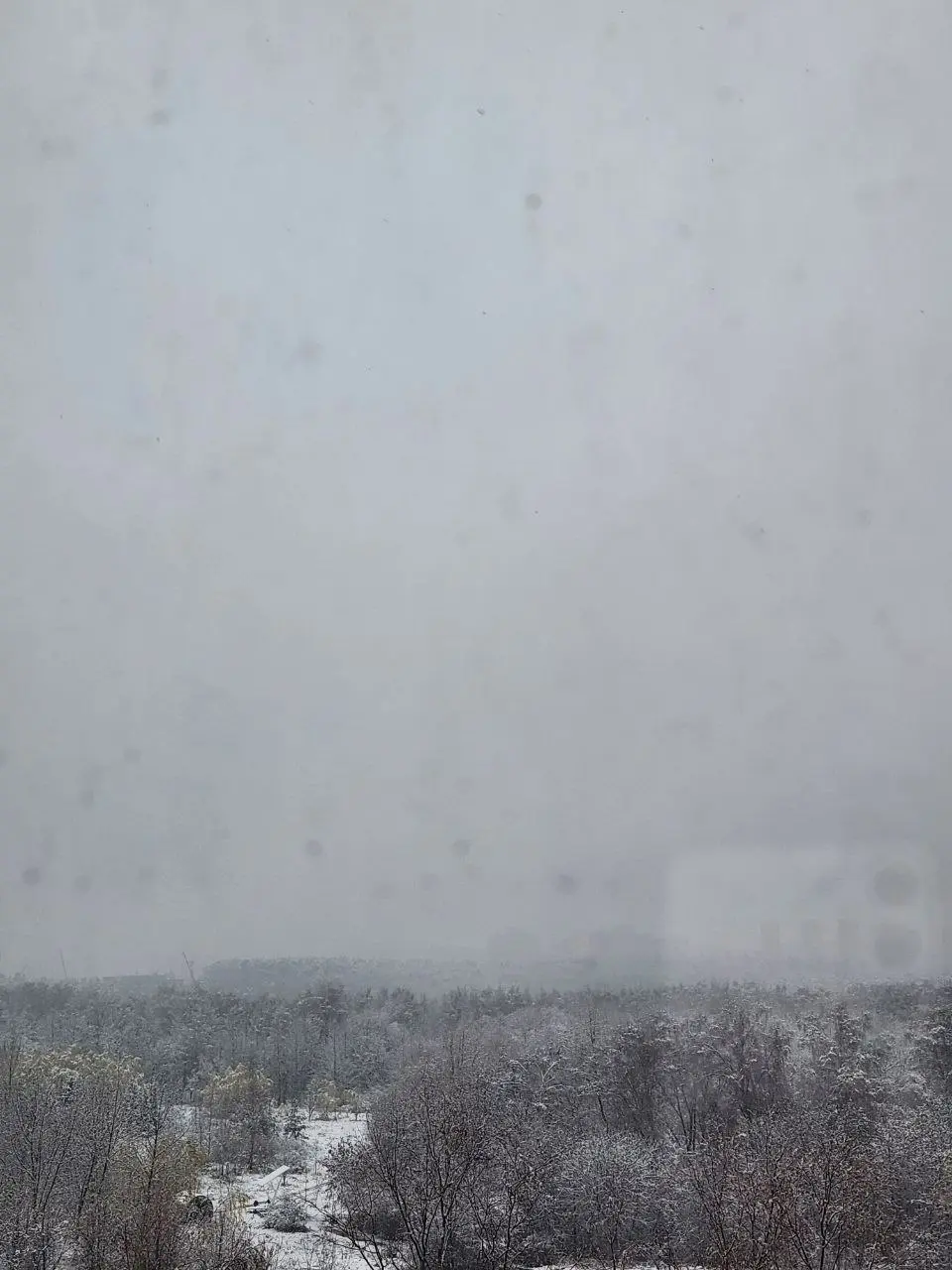 С первым снежно-мокрым утром, друзья❄️ | Сетка — социальная сеть от hh.ru