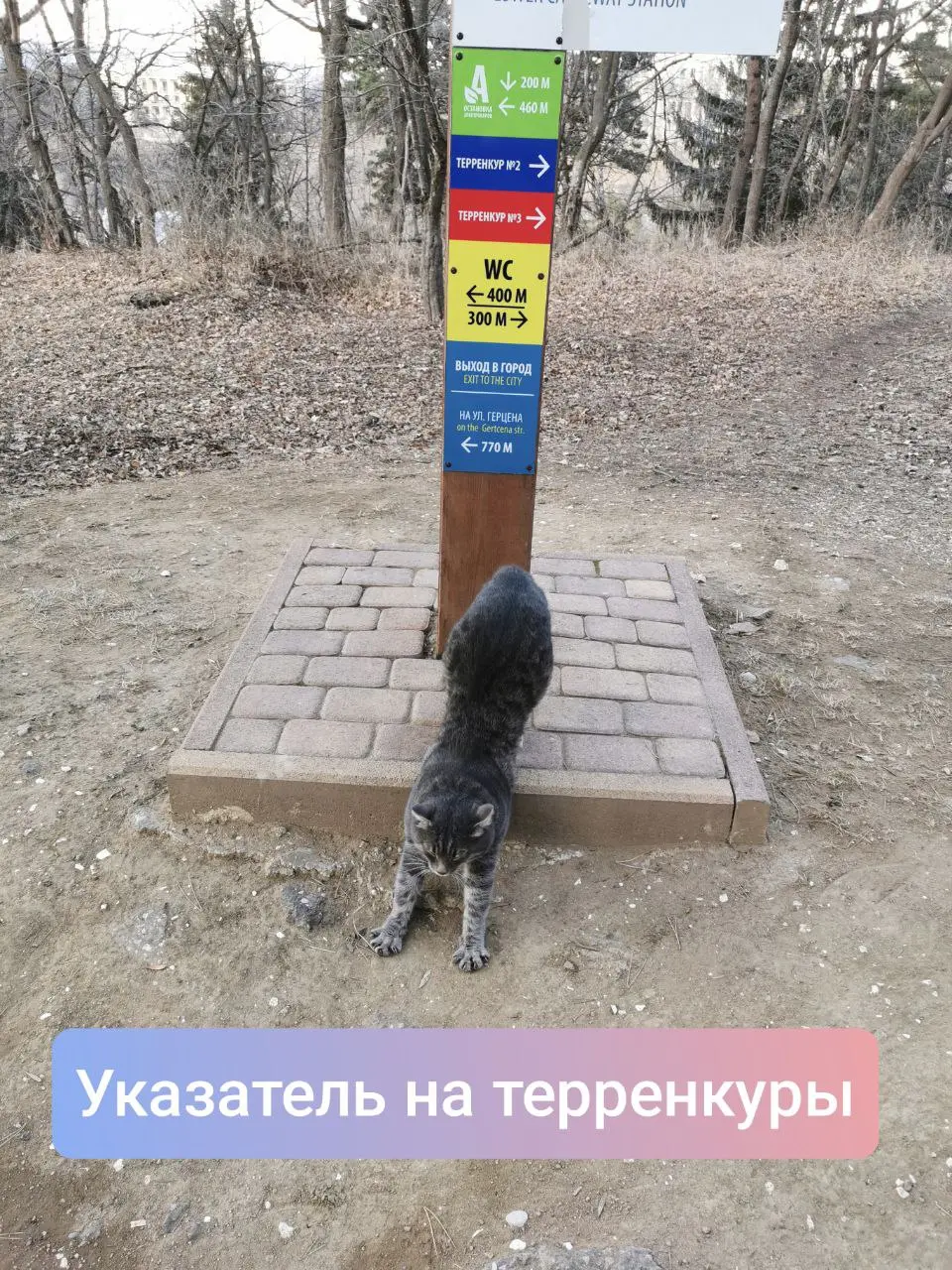 Мой опыт отдыха в санатории ⛰️ + разбор мифов
С закрытием границ санатории Северного Кавказа стали популярным направлением | Сетка — социальная сеть от hh.ru