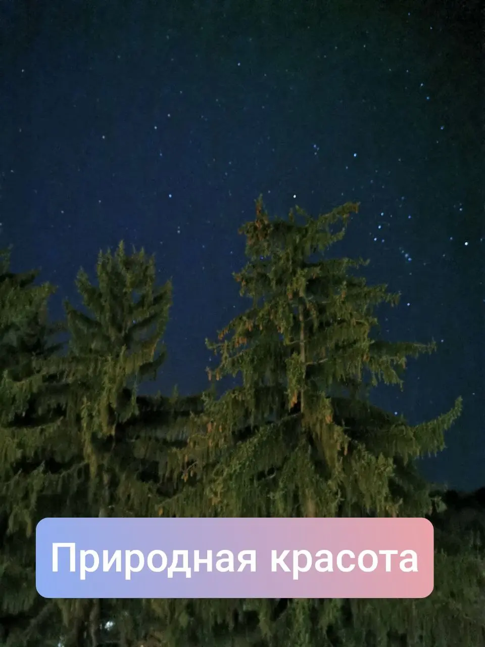 Мой опыт отдыха в санатории ⛰️ + разбор мифов
С закрытием границ санатории Северного Кавказа стали популярным направлением | Сетка — социальная сеть от hh.ru