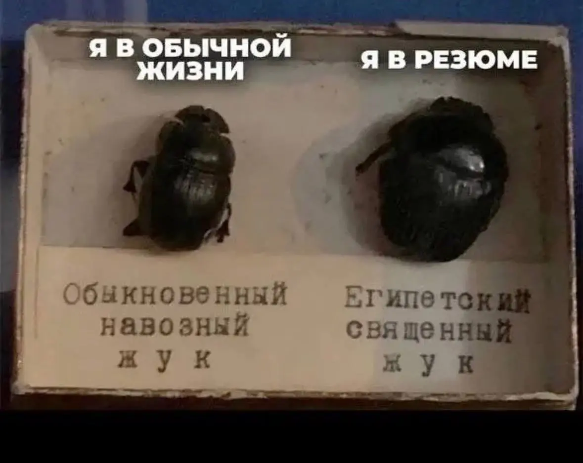 Это очень смешно 😆 | Сетка — социальная сеть от hh.ru