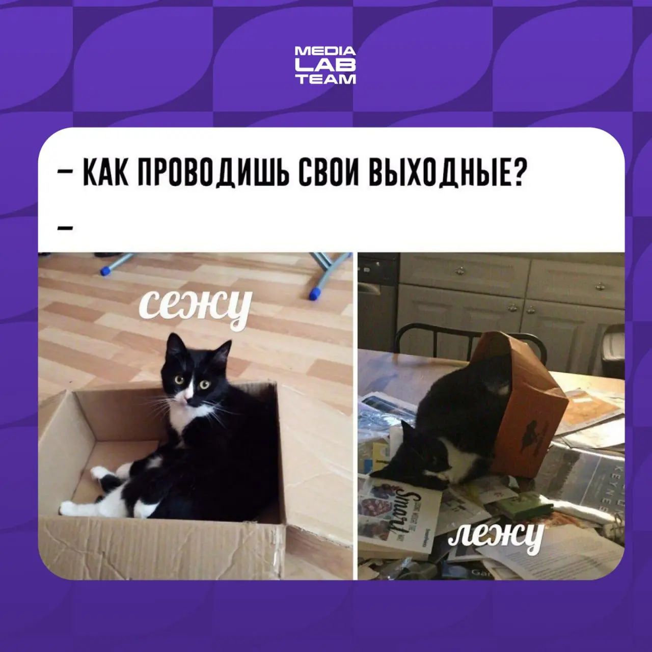 Ставь 🔥, если твои выходные проходят также!
〰️〰️〰️〰️〰️〰️〰️〰️〰️〰️[🤍
В этом посте были ссылки, но мы их удалили по правилам Сетки](
Лаборатория медиа | Сетка — социальная сеть от hh.ru