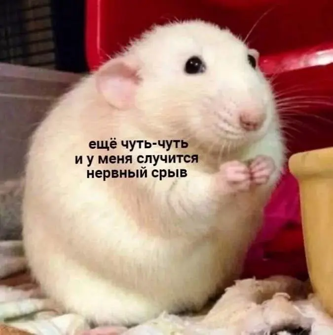 Боязнь small talk 🤫 | Сетка — социальная сеть от hh.ru