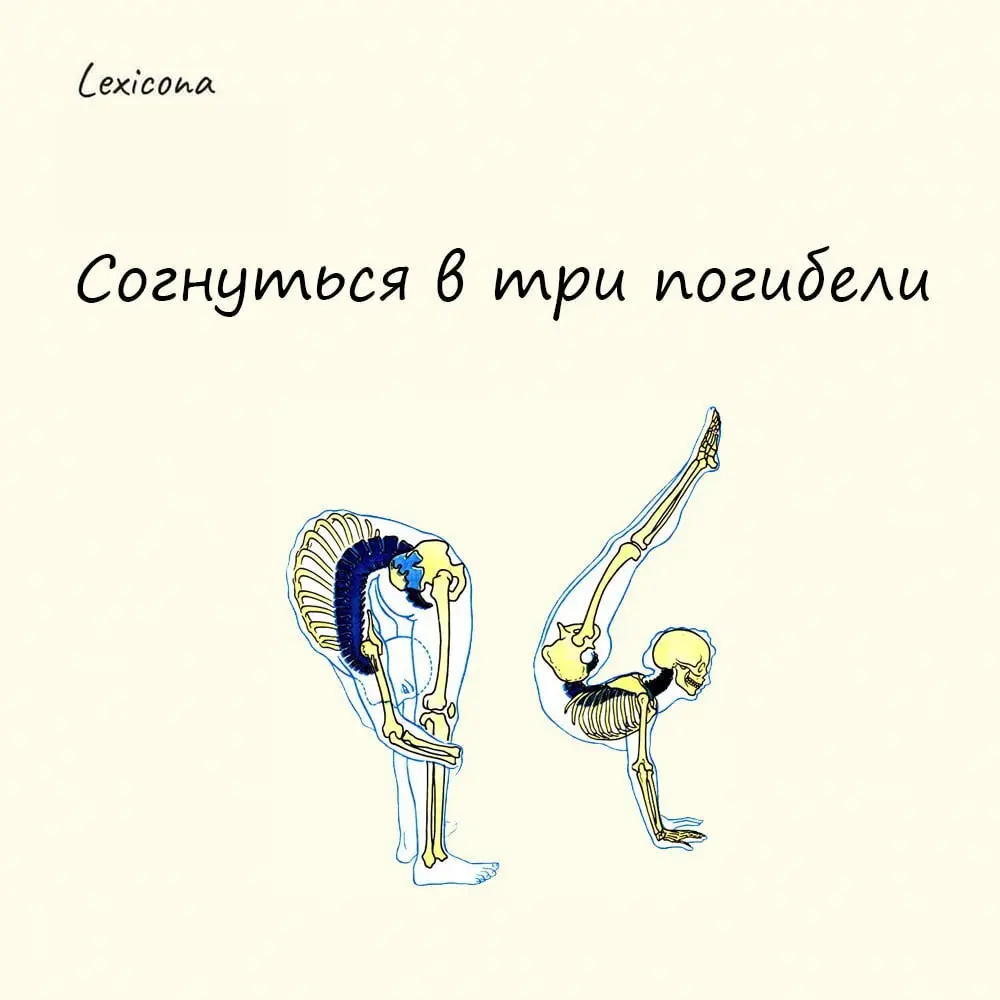 Согнуться в три погибели 🤸‍♂️
Значений у этого выражения два:
1. прямое – очень низко согнуться или скорчиться 🤕
2 | Сетка — социальная сеть от hh.ru
