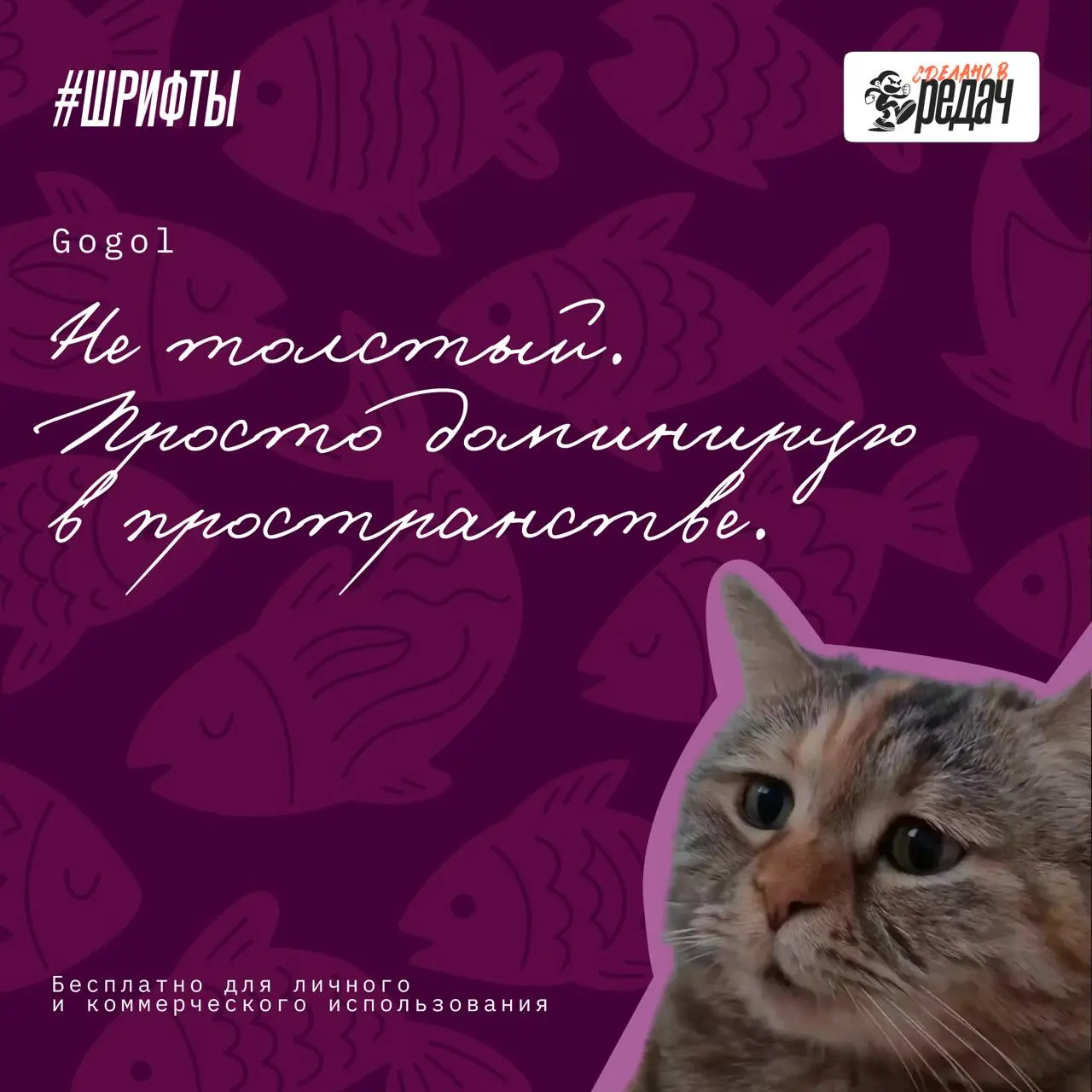 Бодрый воскресный привет, друзья!)
Ловите кайфовую подборку рукописных кириллических шрифтов. Котики же классные, котиков все любят!
Ссылка на скачивание тут | Сетка — социальная сеть от hh.ru