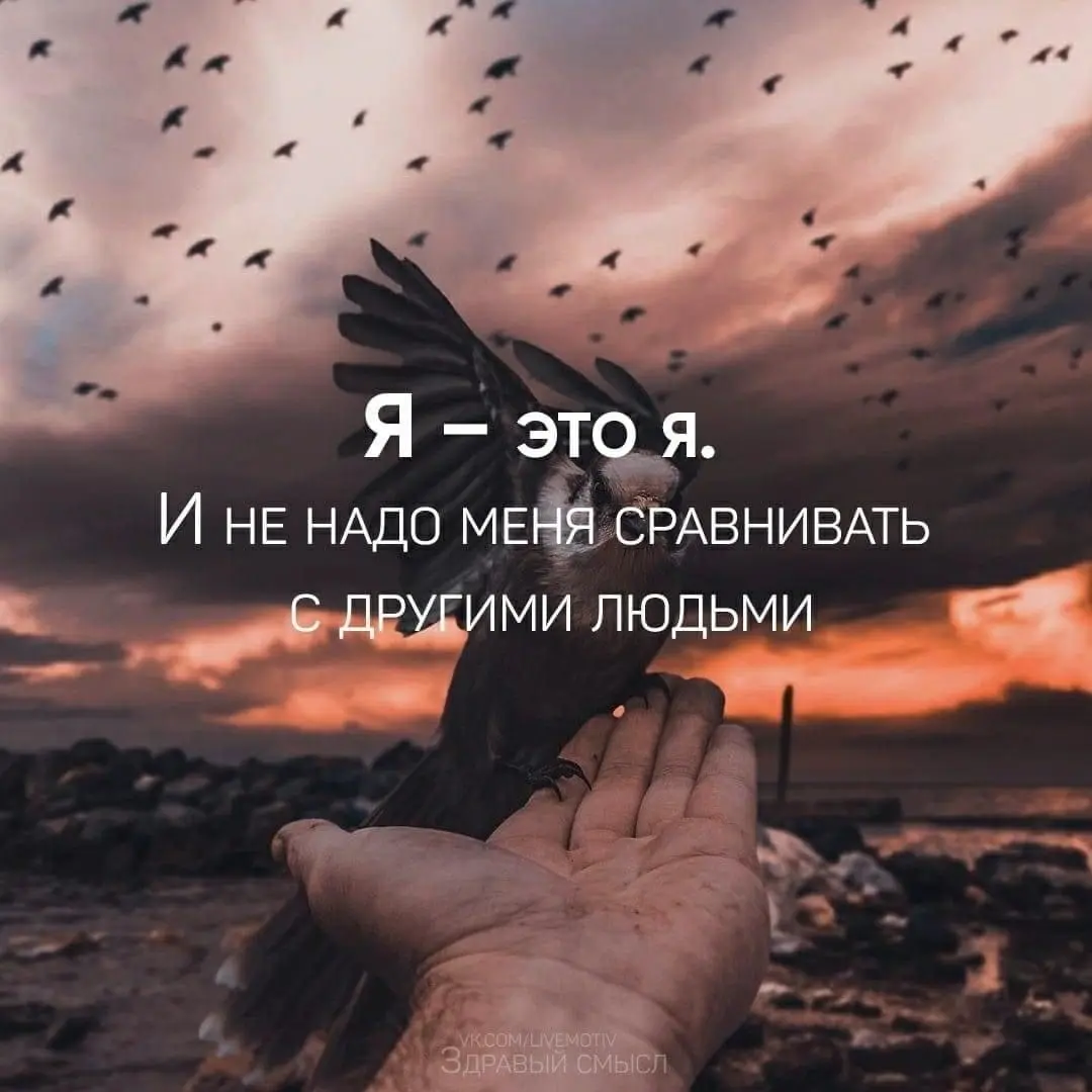 Сравнение с другими | Сетка — социальная сеть от hh.ru