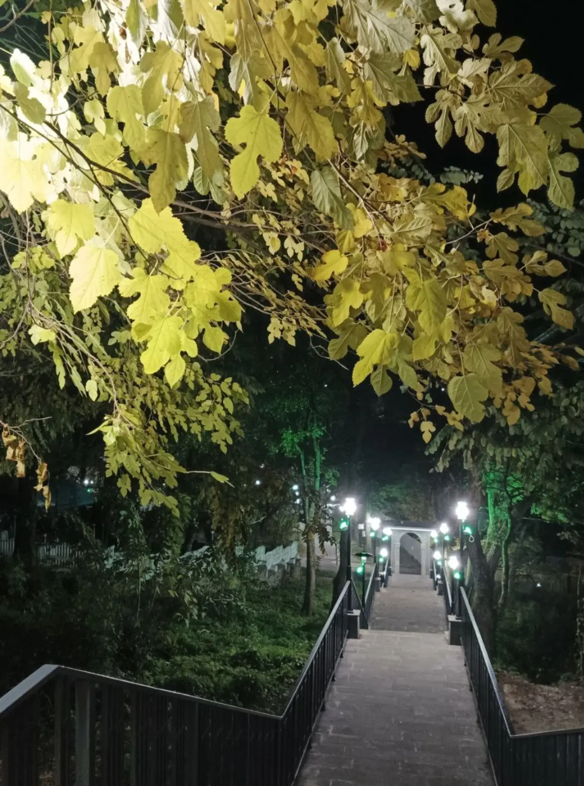 🍂 Осенний вечер в Железноводске)  
#Железноводск  #ОтдыхВЖелезноводске #ПосуточнаяАренда
#осень2025 | Сетка — социальная сеть от hh.ru