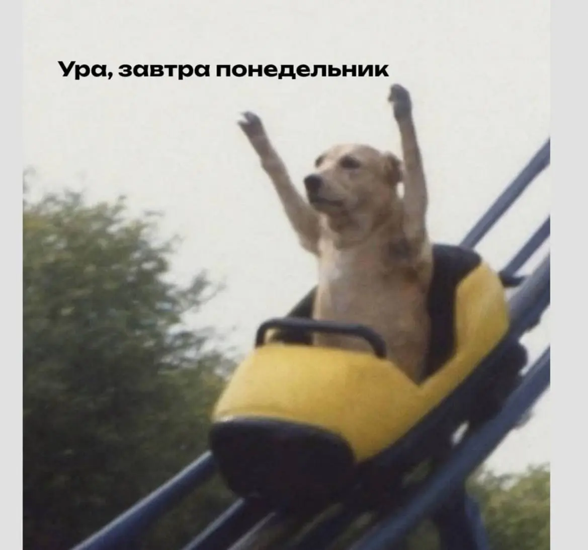 День 77
🔤 выспалась
🔤 ходила на реснички
🔤 ходила на группу
🔤 ходила (гуляла)
🔤 слушала книгу
🔤 гладила собаку | Сетка — социальная сеть от hh.ru