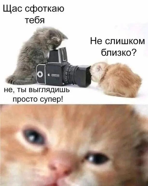 Мой личный ТОП-3 «размытых» фотографий 😂🤣

Фоткаешь?
Ага) | Сетка — социальная сеть от hh.ru