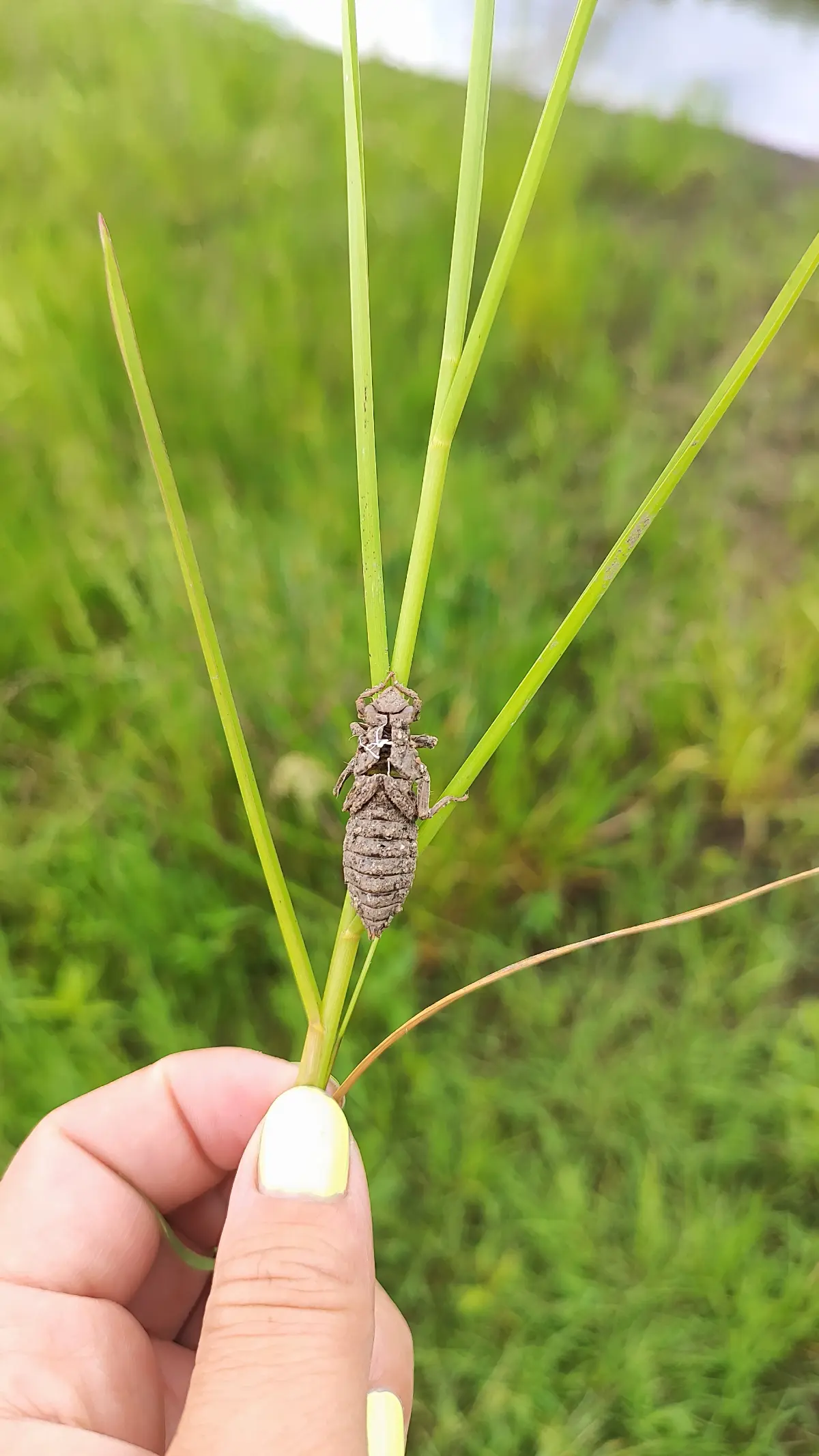 Чем питается рыба? Или дети в шоке на уроке. | Сетка — социальная сеть от hh.ru
