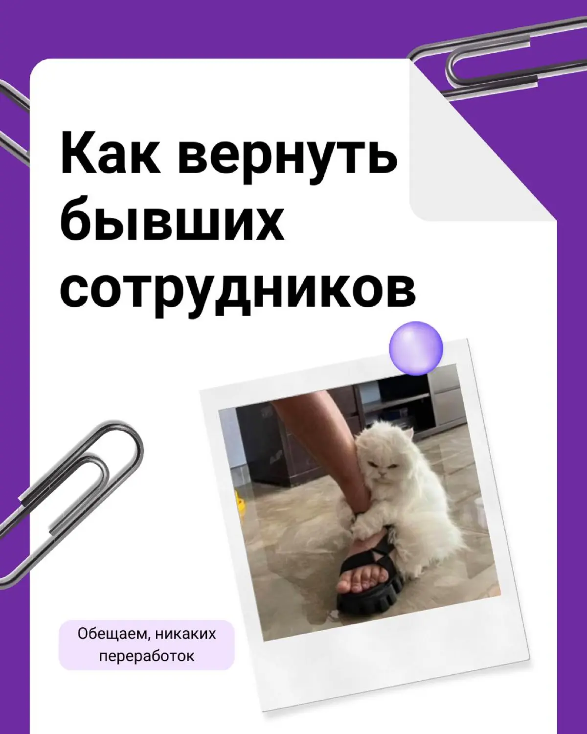 💔 Разговоры о бывших: как вернуть сотрудников обратно в ком | Сетка — социальная сеть от hh.ru