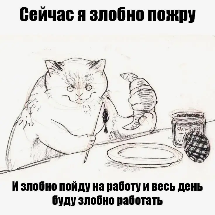 Доброкот | Сетка — социальная сеть от hh.ru