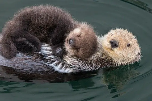 Почему мы устаём даже тогда, когда ничего не делаем? | Сетка — социальная сеть от hh.ru