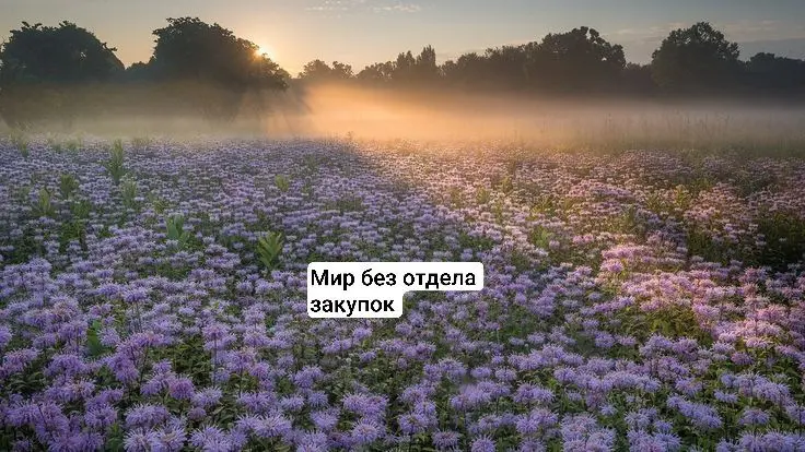 Я не хочу никого обидеть, но... | Сетка — социальная сеть от hh.ru