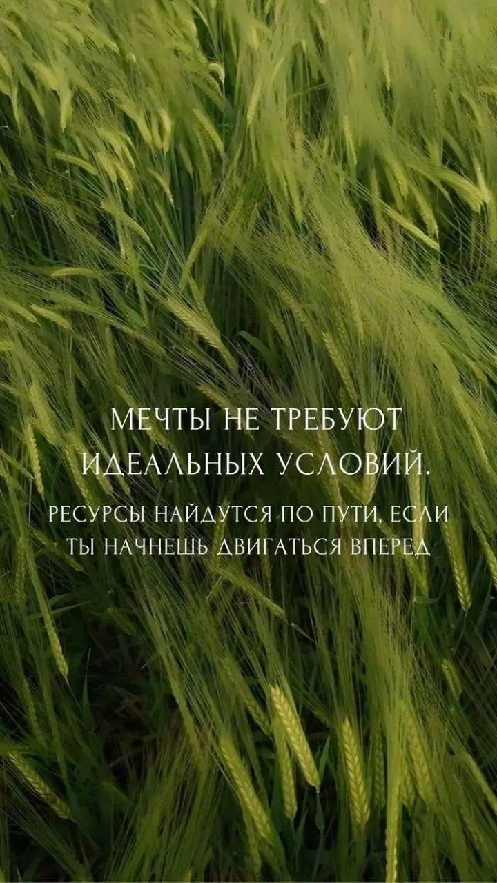 #мотивация #цитатадня | Сетка — социальная сеть от hh.ru