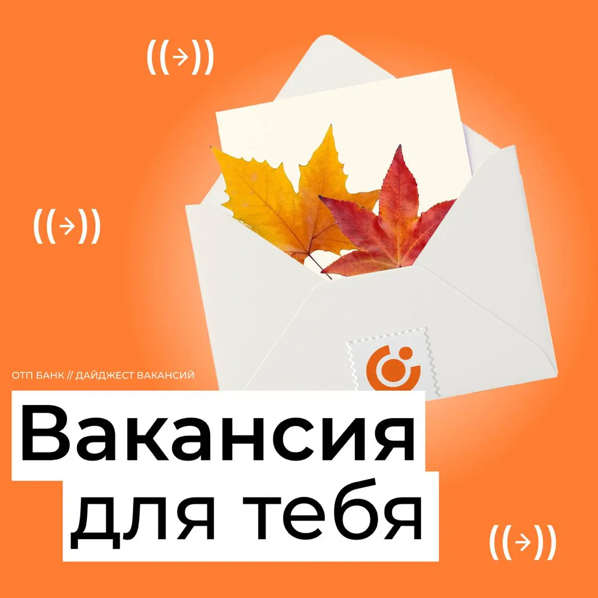 +1 новое сообщение от команды ОТП Банка 👀 | Сетка — социальная сеть от hh.ru