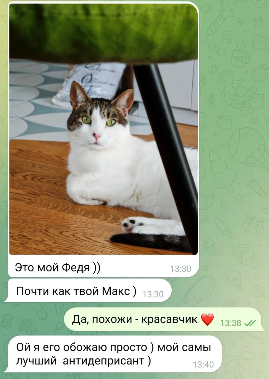 От любимого ❤️ клиента Ольги
#коты@poldner | Сетка — социальная сеть от hh.ru