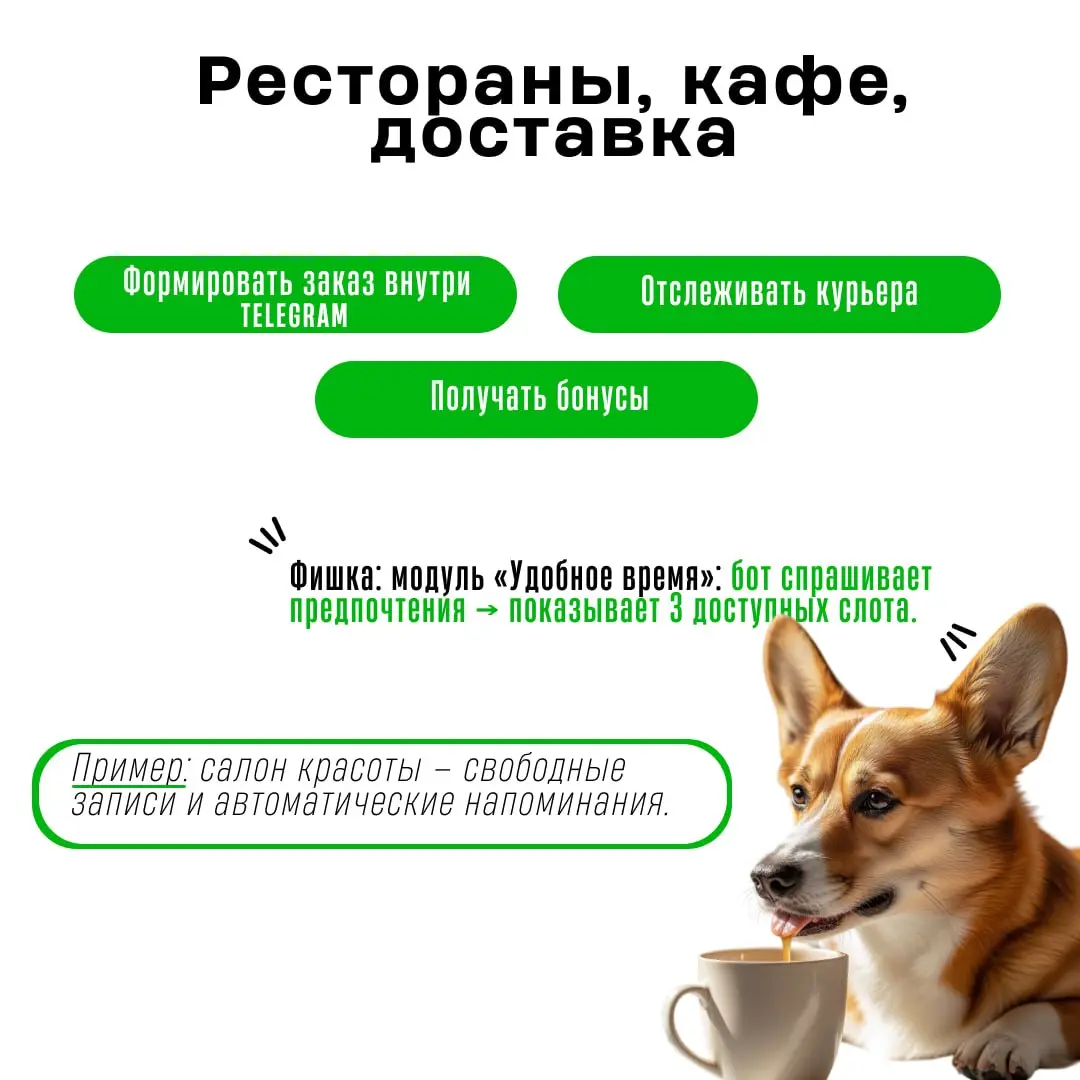 Telegram-боты для бизнеса: когда это реально работает | Сетка — социальная сеть от hh.ru