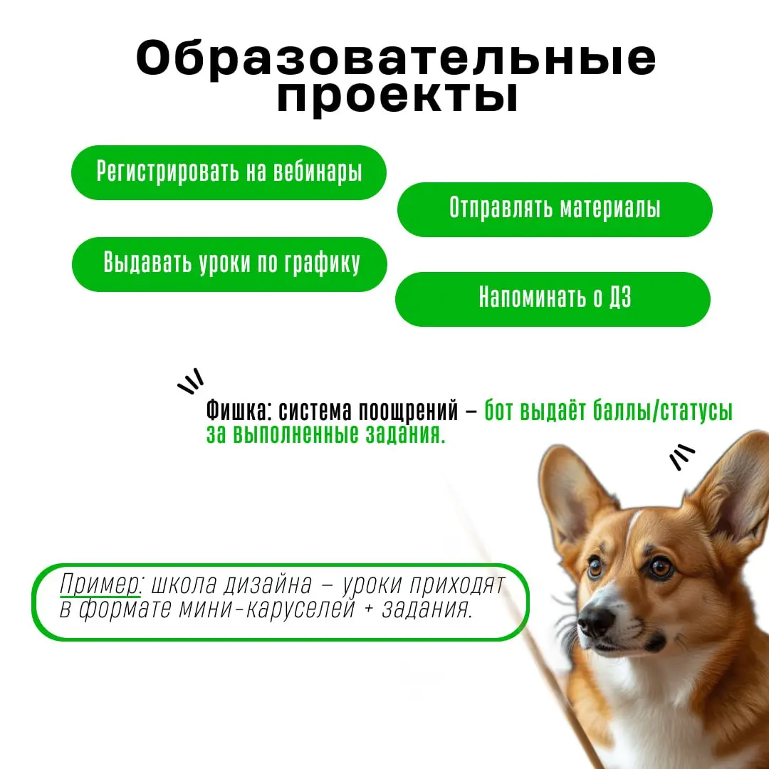 Telegram-боты для бизнеса: когда это реально работает | Сетка — социальная сеть от hh.ru
