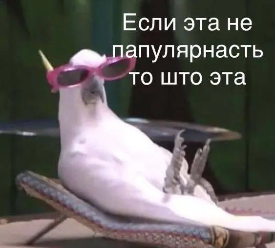 Нетворкинг = лучший источник кандидатов
Когда у тебя есть база контактов в LinkedIn и Telegram, поиск становится в разы быстрее.
✨ Совет: пиши разработчикам даже без вакансии | Сетка — социальная сеть от hh.ru