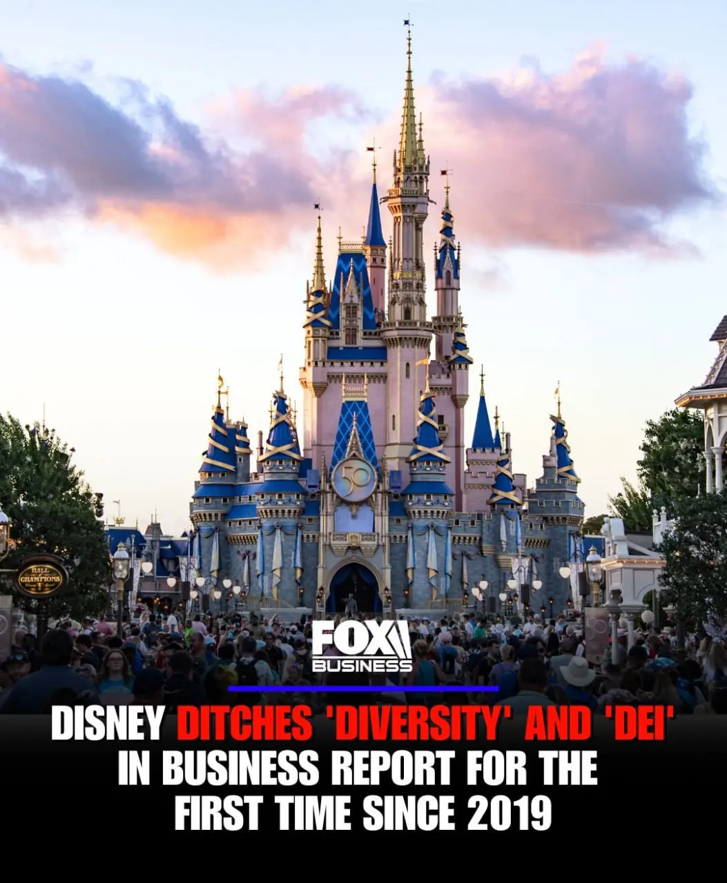 Disney впервые за шесть лет исключила слово diversity и аббревиатуру DEI (разнообразие, равенство и инклюзивность) из годового отчёта | Сетка — социальная сеть от hh.ru