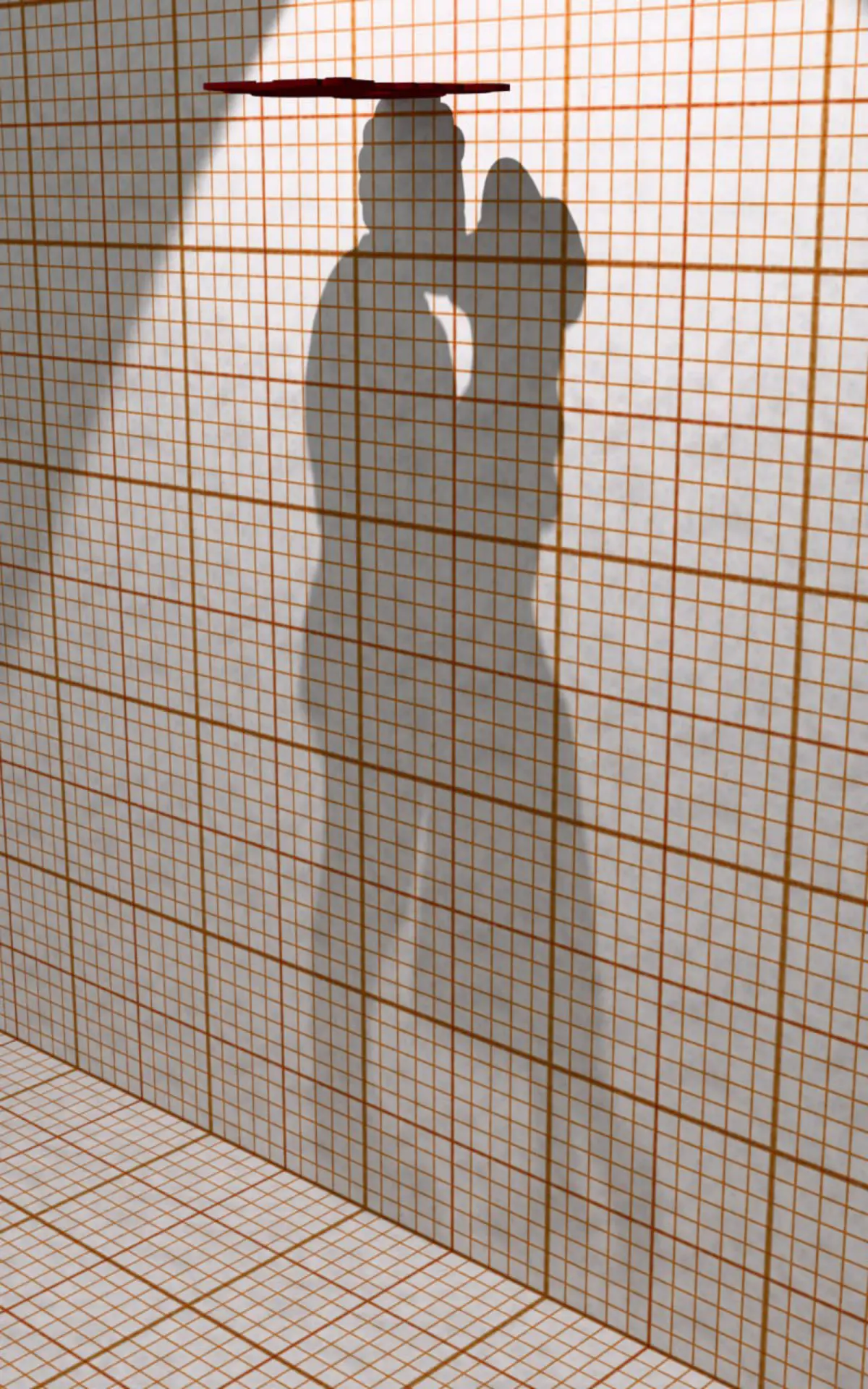 Силуэтная иллюзия с анаморфизмом тени | Сетка — социальная сеть от hh.ru