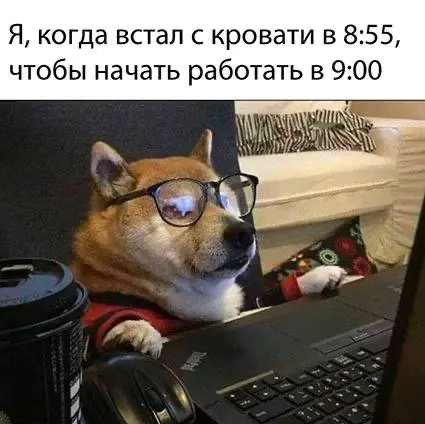 🏝 Хотите удалёнку? | Сетка — социальная сеть от hh.ru