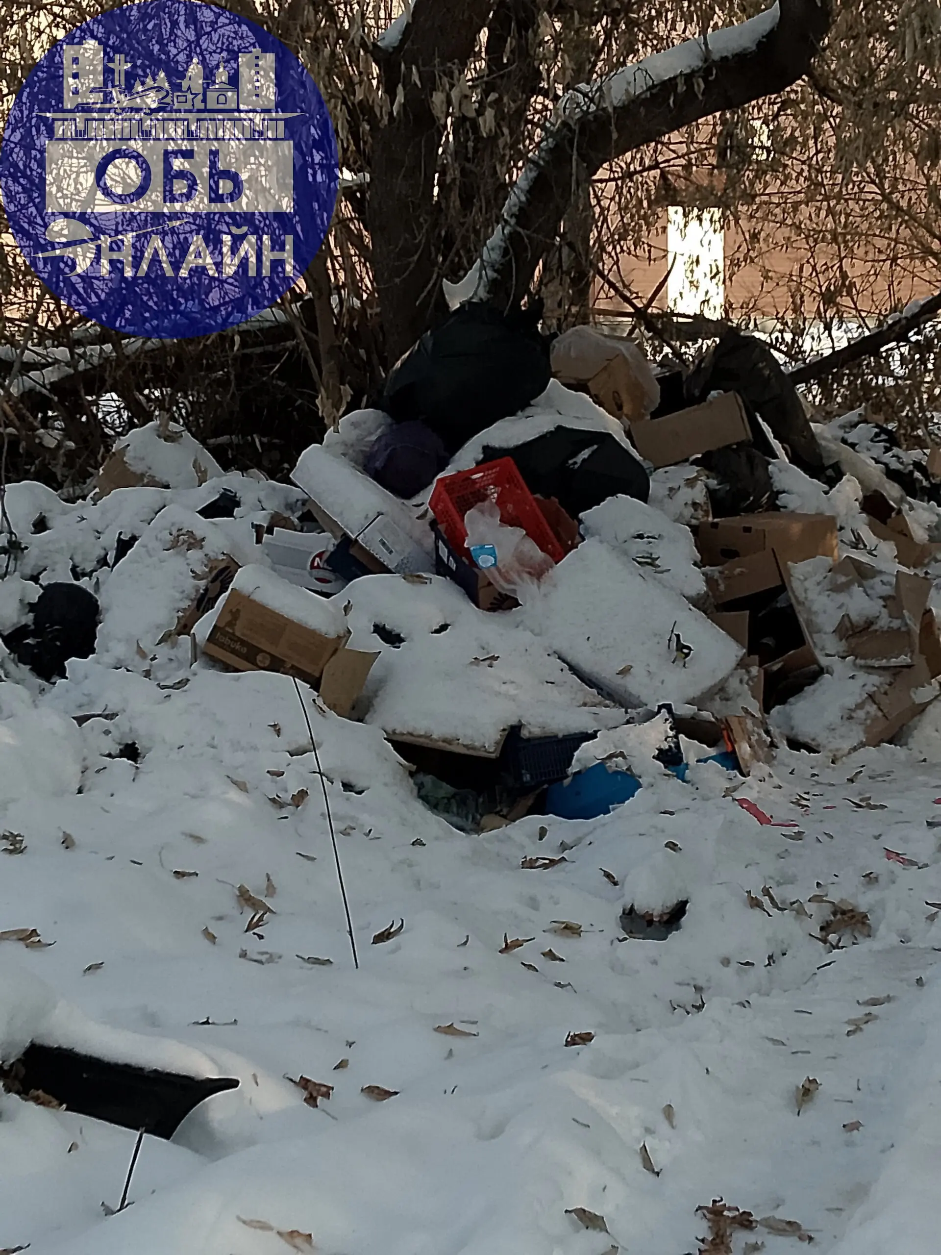 ↗ vk.ru
Подробнее на https://vk.com/ob.gorod
#городобь #городобьонлайн #толмачево | Сетка — социальная сеть от hh.ru