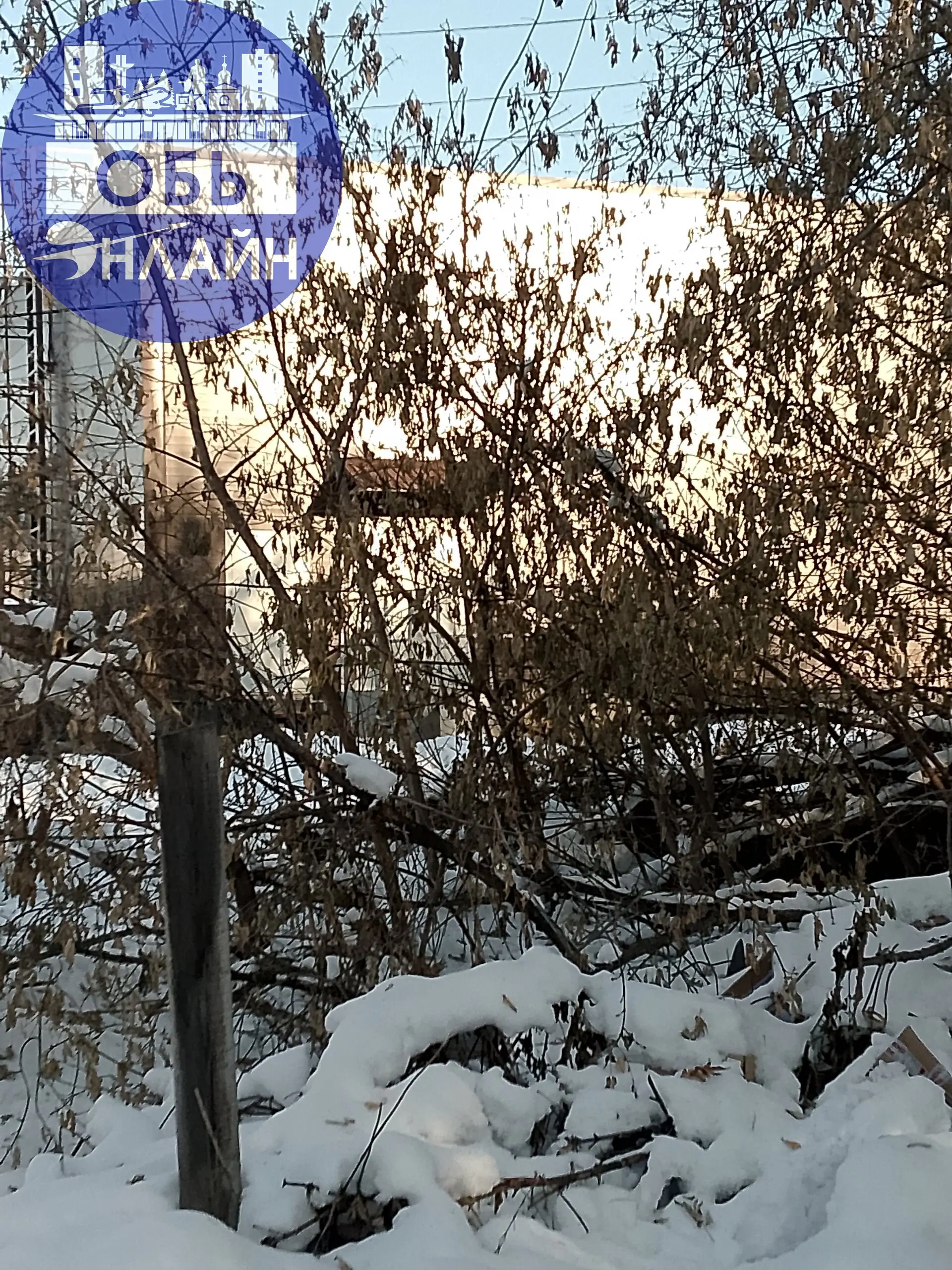 ↗ vk.ru
Подробнее на https://vk.com/ob.gorod
#городобь #городобьонлайн #толмачево | Сетка — социальная сеть от hh.ru