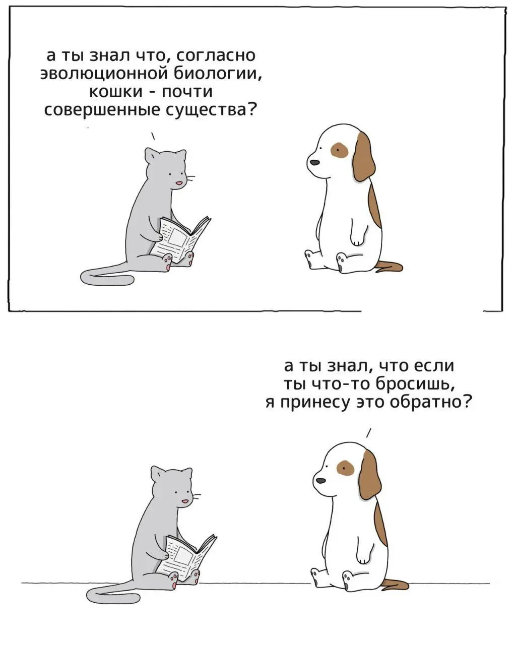 Кто о чем 😂😂😂
От любимого клиента Елены ❤️
#Юмор@poldner #Коты@poldner
#Собака@poldner | Сетка — социальная сеть от hh.ru