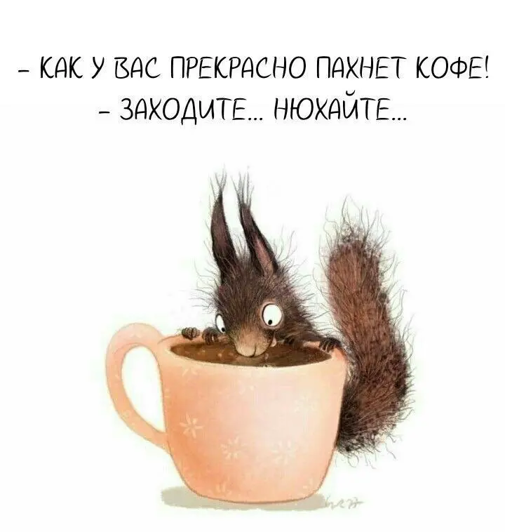 ВТОРНИК
А ощущение, что уже четверг. Каким-то очень насыщенным оказался понедельник 🤦
Подсказка Вселенной в сторис | Сетка — социальная сеть от hh.ru