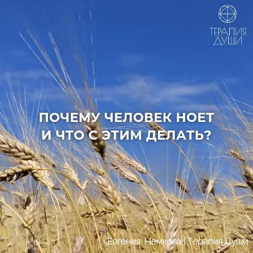 Почему человек ноет и что с этим делать | Сетка — социальная сеть от hh.ru