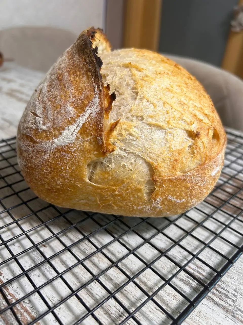🍮Традиционнно здесь я практически не говорю про хлеб, но тем не менее, если вы давно хотели, но не знали как, научиться печь полезный хлеб на закваске, то ваша покорная слуга ведет Мастер-класс и как-... | Сетка — социальная сеть от hh.ru