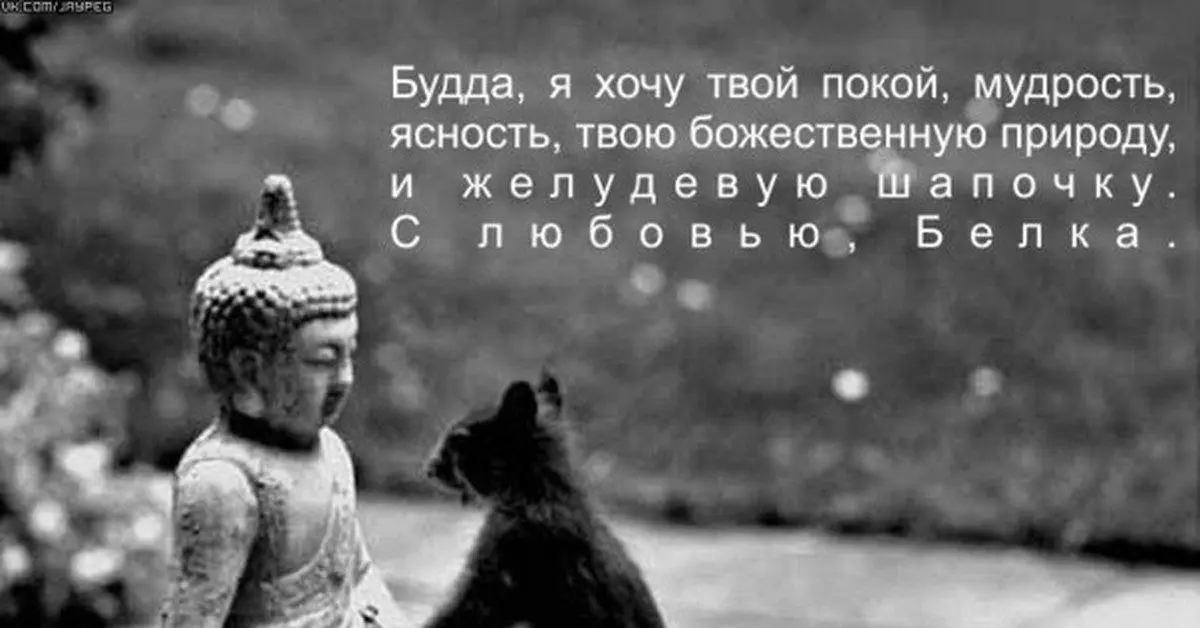Настроение сегодня ❤️😂
Про шапочку - самое любимое ❤️ | Сетка — социальная сеть от hh.ru