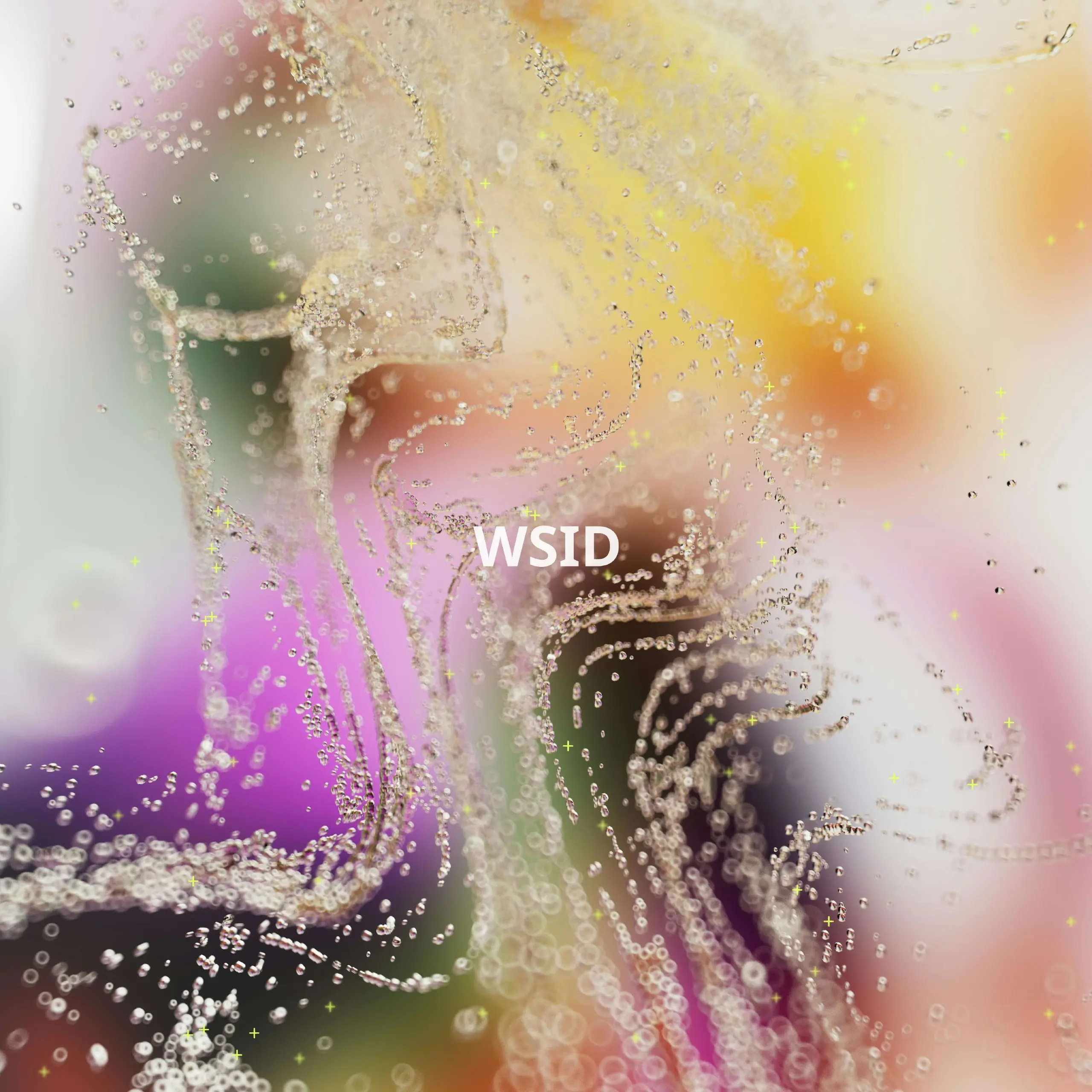 WSID — это социальная платформа, где решения принимаются с помощью голосований в реальном времени. Здесь каждый может задать вопрос и получить помощь от сообщества | Сетка — социальная сеть от hh.ru
