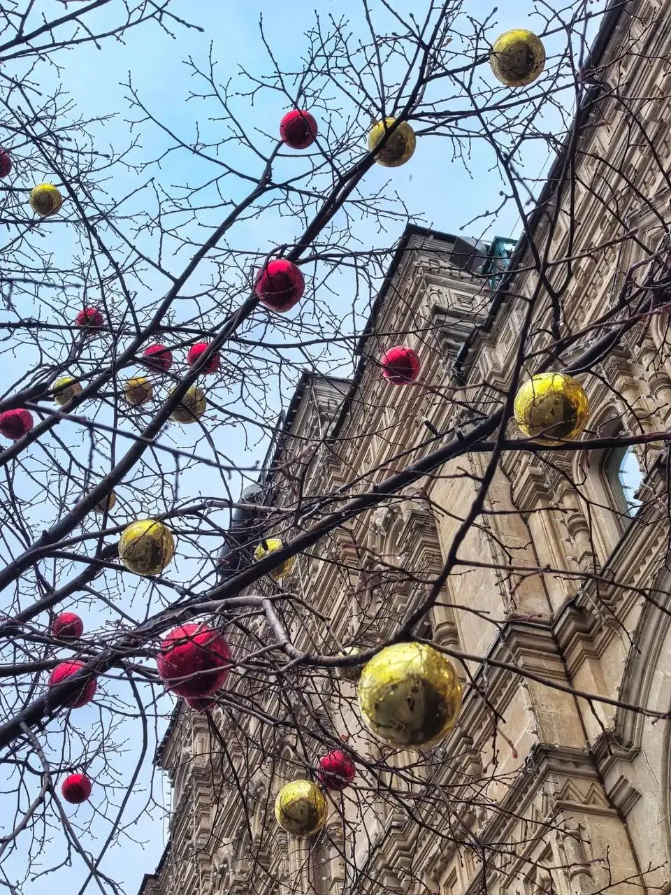 🎄На Красной площади вновь появились традиционные новогодние шарики
Деревья уже украсили к праздникам!
📲Подпишитесь на Вдвижении
#бесплатно
В этом посте были ссылки, но мы их удалили по правилам Сетки | Сетка — социальная сеть от hh.ru