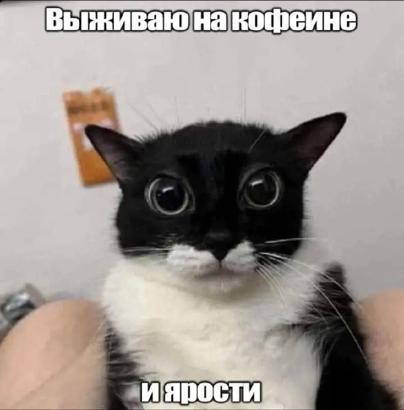 Второй вторник подряд пытаюсь не заниматься операционкой. В первый я заболел. Во второй вторник (сегодня) почти получилось. Впрочем, кого я обманываю, во второй вторник тоже не получилось | Сетка — социальная сеть от hh.ru