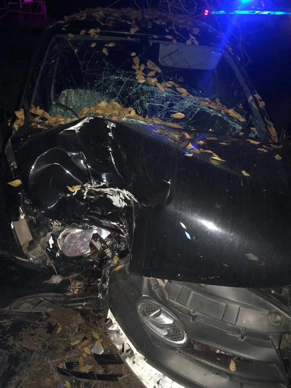 ❗️«Гранта» врезалась в дерево в Будённовском округе
Рано утром автомобиль съехал с дороги и ударился о дерево. Травмы получили 39-летний водитель и его 43-летний пассажир, их доставили в больницу | Сетка — социальная сеть от hh.ru
