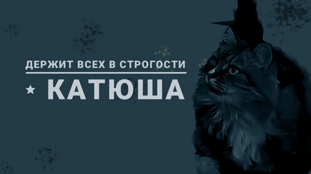 Муж попросил для самодеятельности, сделать фотки в стиле " Большой Куш", что бы вставить их в видео. Вот и сами фото | Сетка — социальная сеть от hh.ru