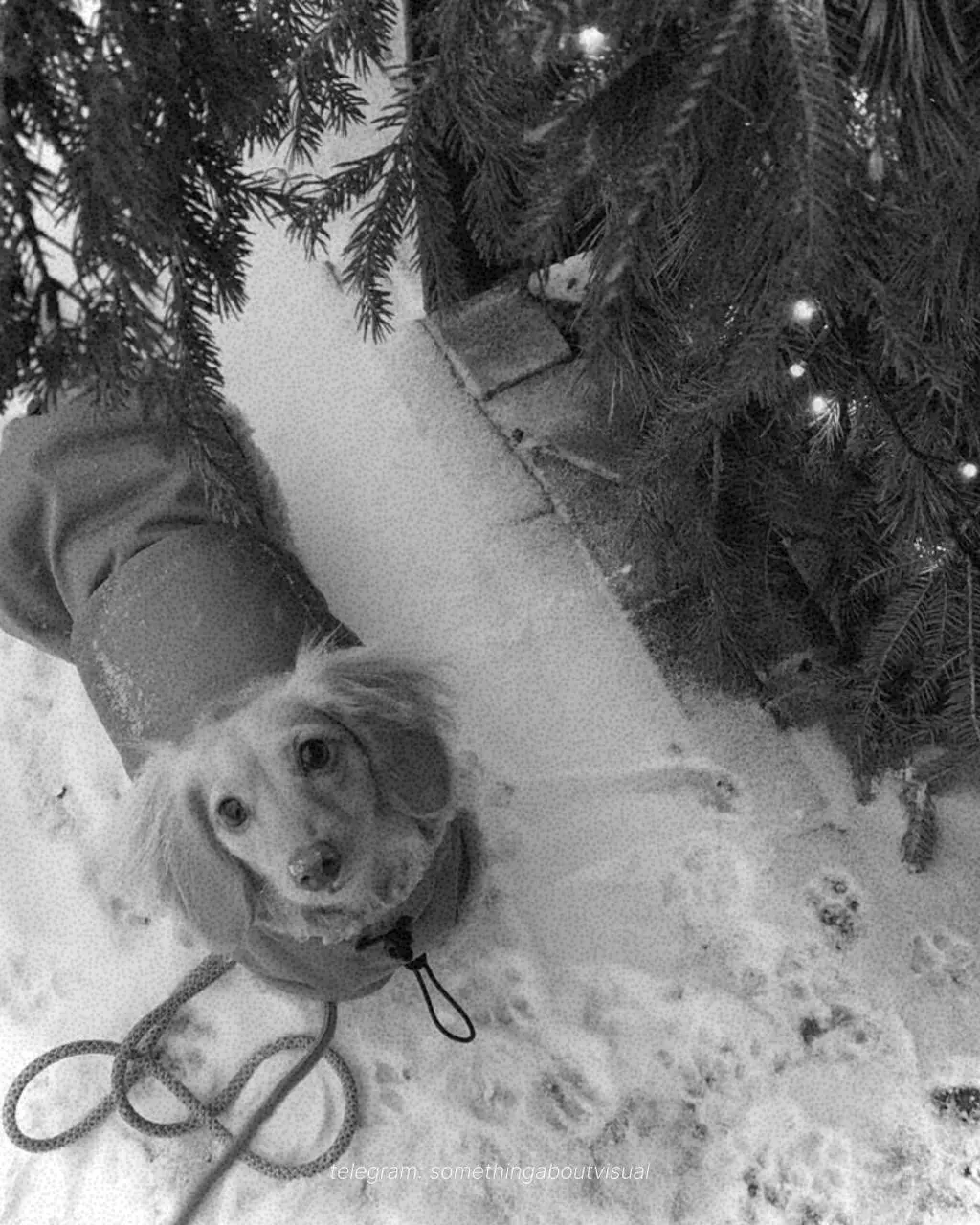 // Ретро обработка для фото в айфоне // 
Когда хочется разбавить ленту или сторис не цветными фотографиями❄️
Обработку можно сделать прямо в телефоне, а для более винтажного эффекта добавить зернистос... | Сетка — социальная сеть от hh.ru