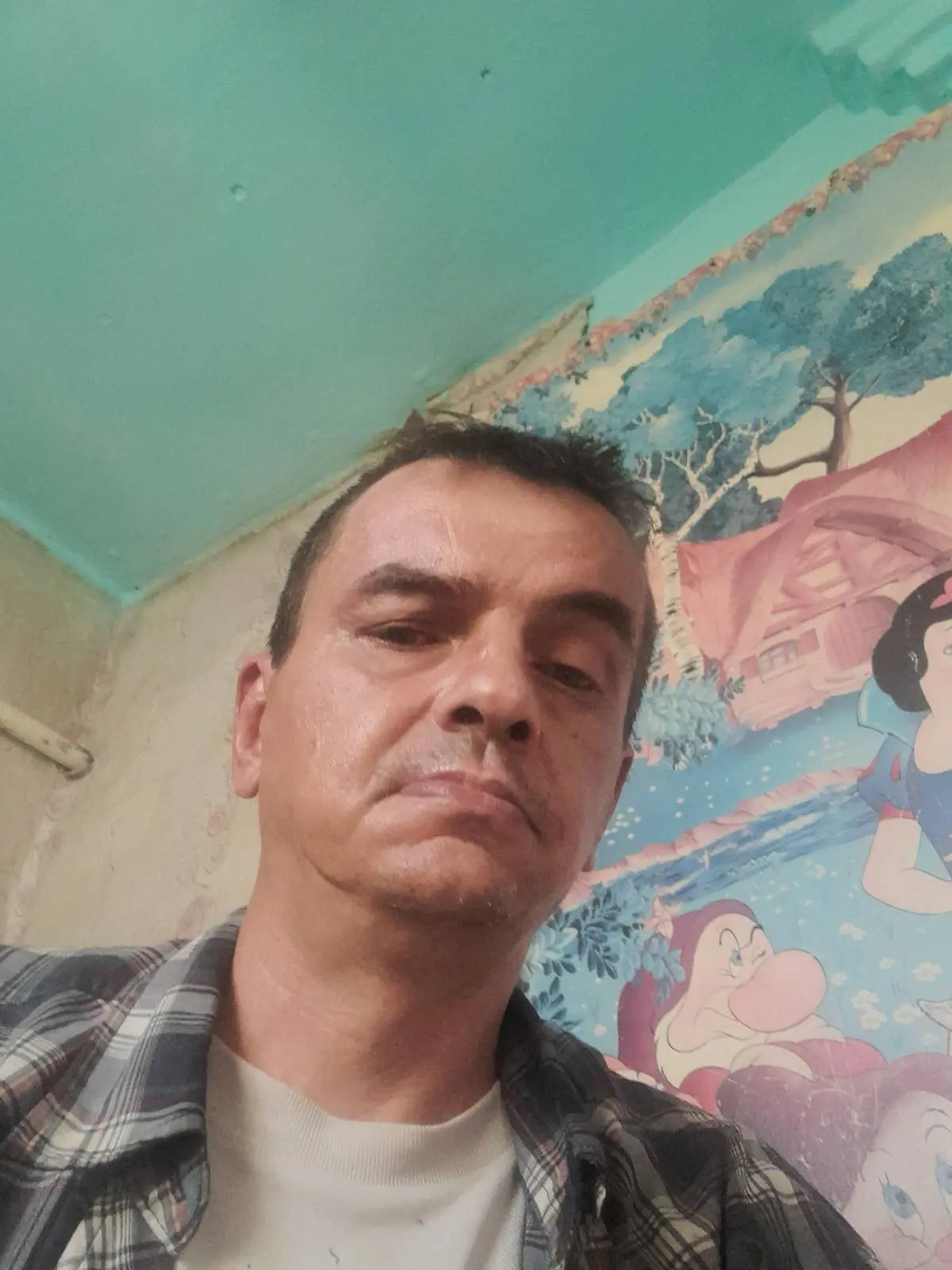 Александр Никитенко