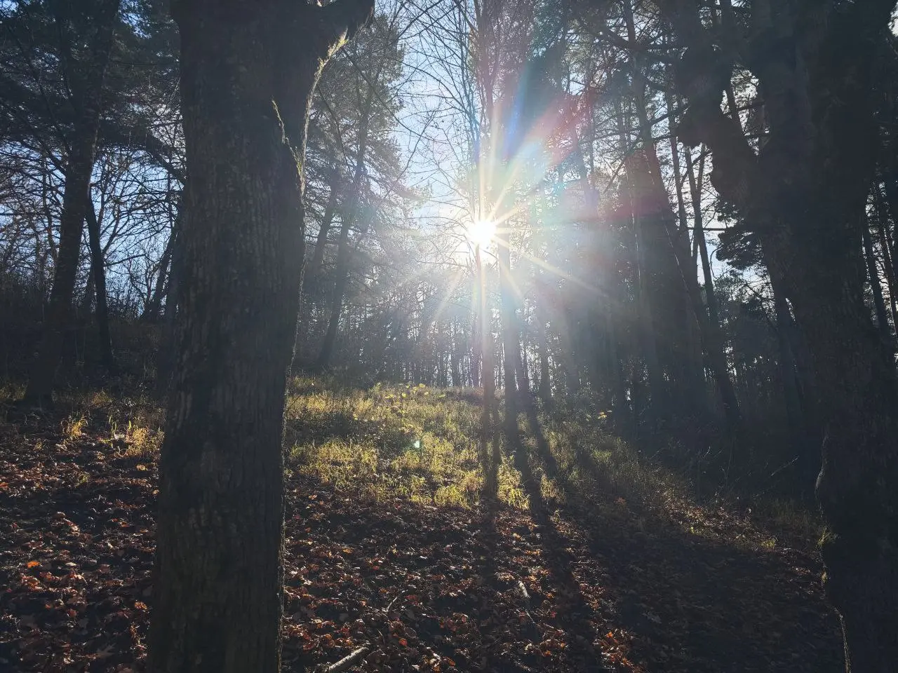 💫 Санаторный отчёт за день 💫
✅ Термальный бассейн – начала утро с плавания.
✅ Циркулярный душ – ощутила себя зеброй (полосатый загар обеспечен 😆) | Сетка — социальная сеть от hh.ru