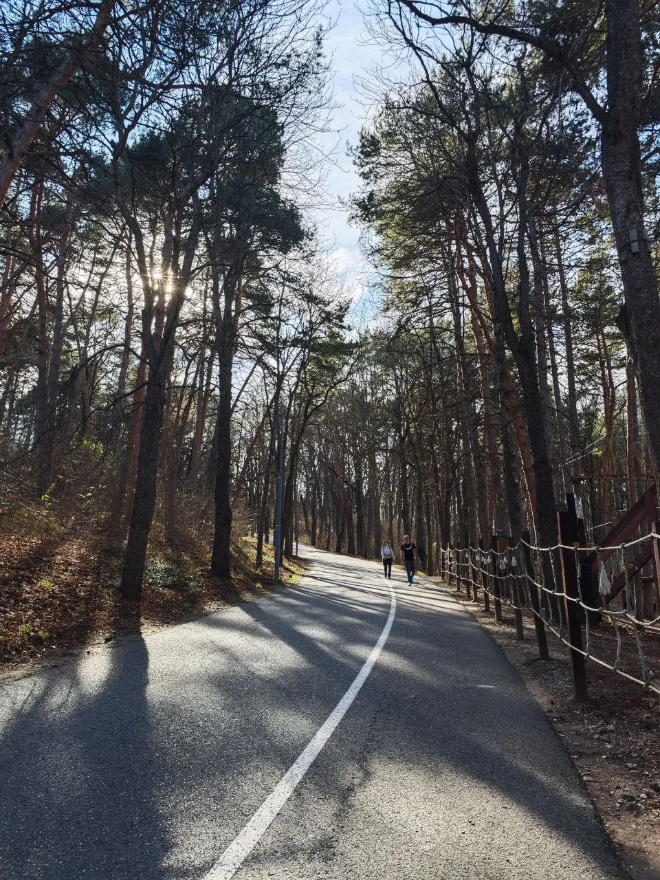 💫 Санаторный отчёт за день 💫
✅ Термальный бассейн – начала утро с плавания.
✅ Циркулярный душ – ощутила себя зеброй (полосатый загар обеспечен 😆) | Сетка — социальная сеть от hh.ru