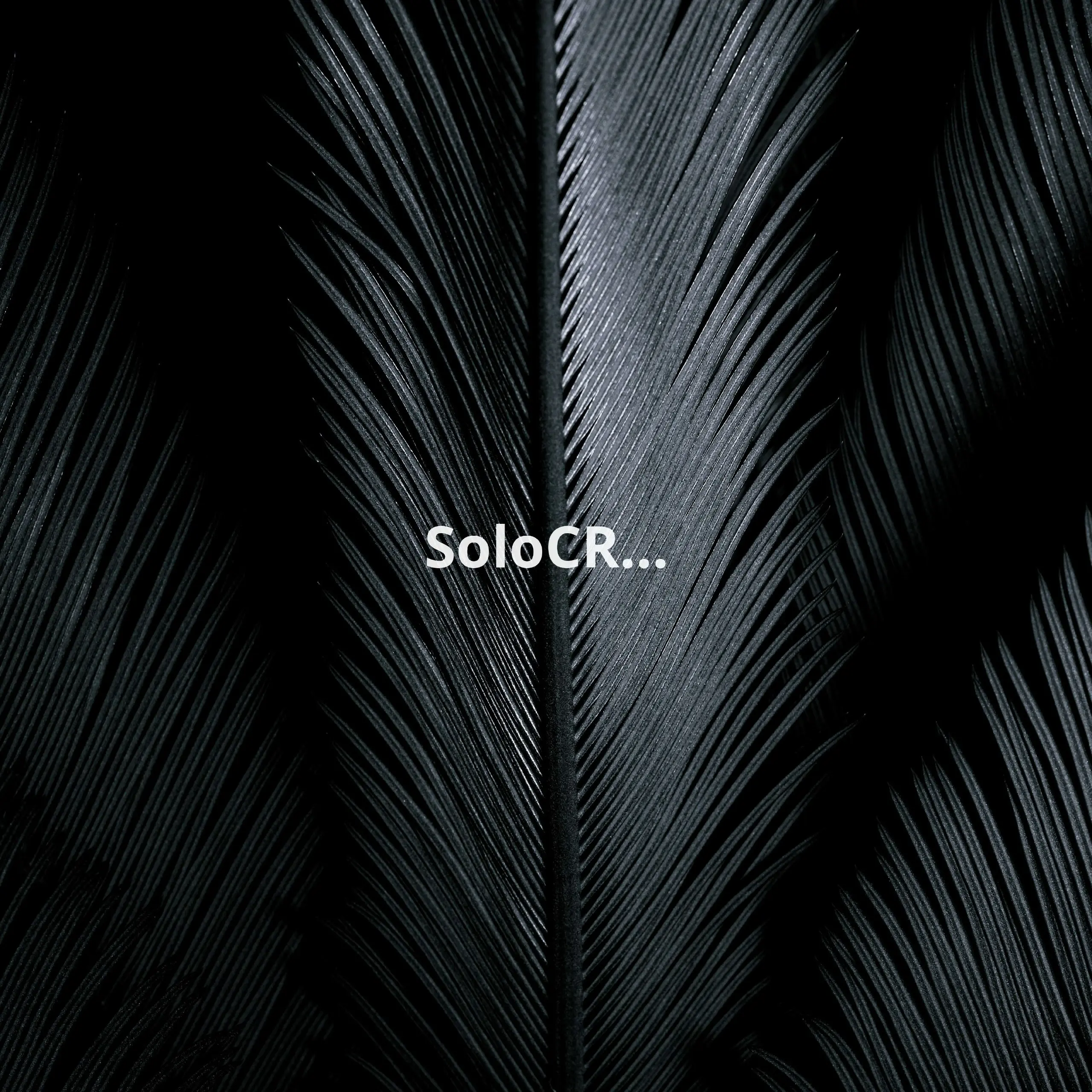 SoloCRM — это легкая CRM-платформа, созданная специально для фрилансеров и самозанятых | Сетка — социальная сеть от hh.ru