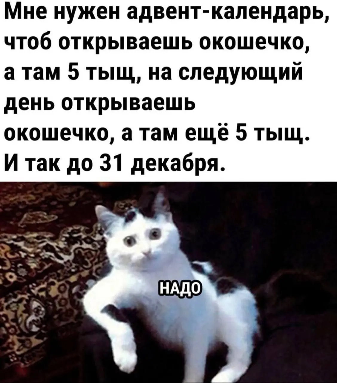 В тему адевент календарей 😂
#Коты@poldner #юмор@poldner | Сетка — социальная сеть от hh.ru
