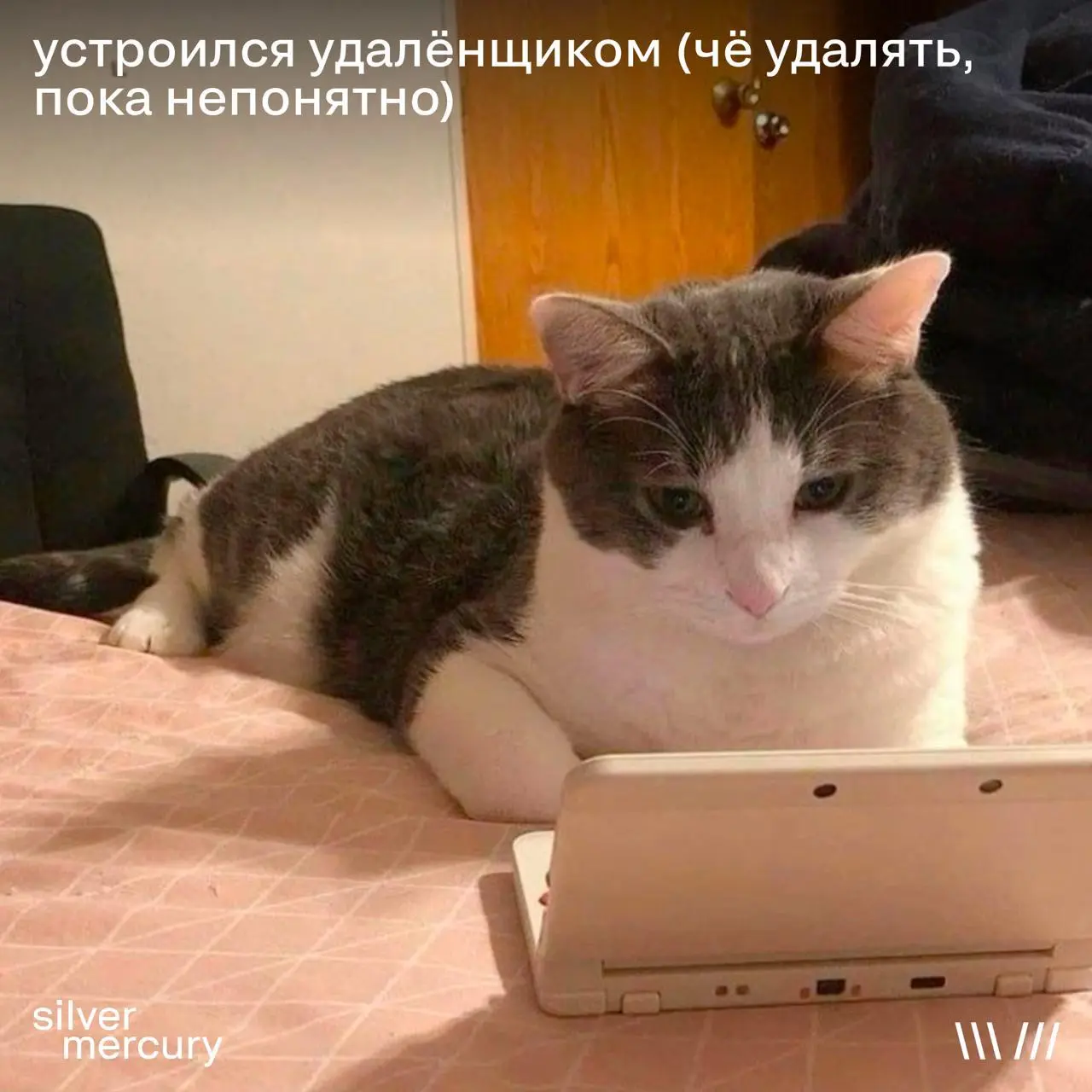 Кто-то из сотрудников Cloudflare сегодня: | Сетка — социальная сеть от hh.ru