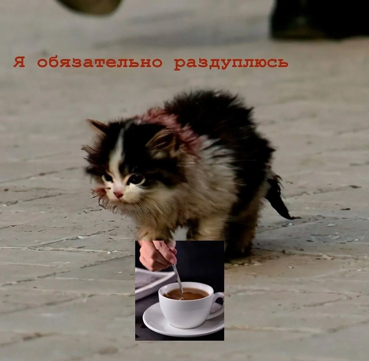Котики, я помню, что должна вам умопомрачительный контент.
Но раздуплиться пока не получилось.
Готовлю для вас много всего интересного.
Всех люблю, целую.
Встречаемся завтра в этом же месте🙏 | Сетка — социальная сеть от hh.ru