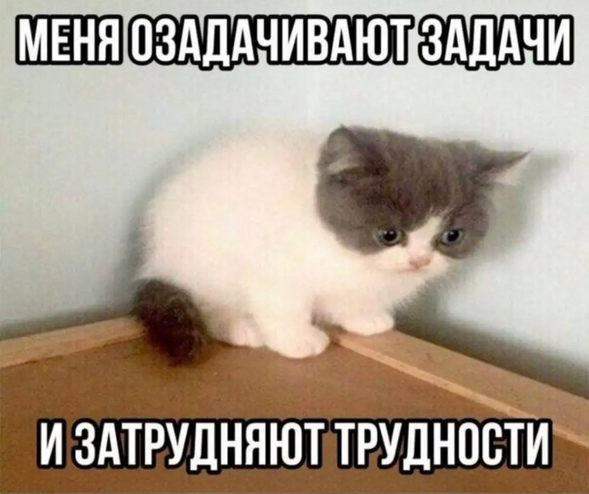 Муд дня 🤣 #мемчики | Сетка — социальная сеть от hh.ru